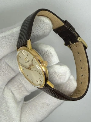 Omega Manual Wind 34mm Gold Capped Reference 131.019 1966