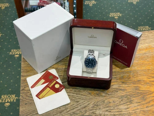 Omega Seamaster Professional 300M James Bond 41mm Stainless Steel 2531.80.00 2006