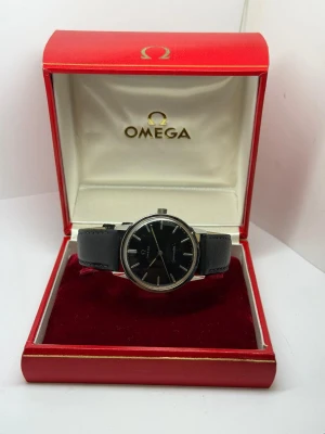 Omega Seamaster Automatic 34mm Stainless Steel Black Dial 165.002 1966